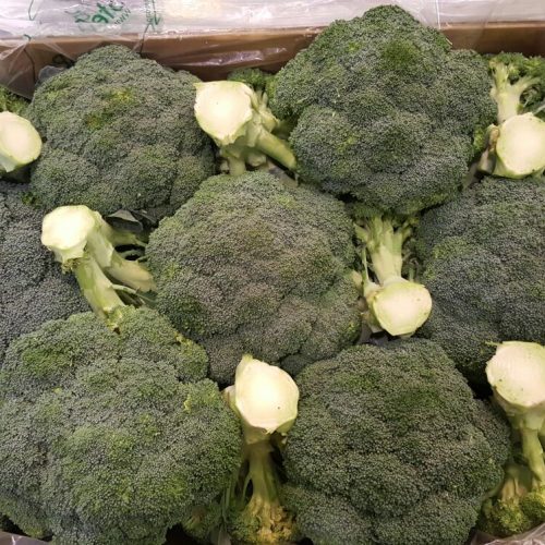 Brocoli