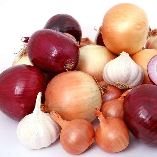 Cebolla