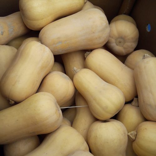 Calabaza