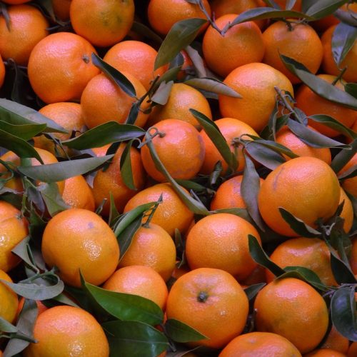 Mandarina