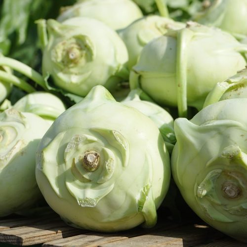 Colirrábano/ Kohlrabi