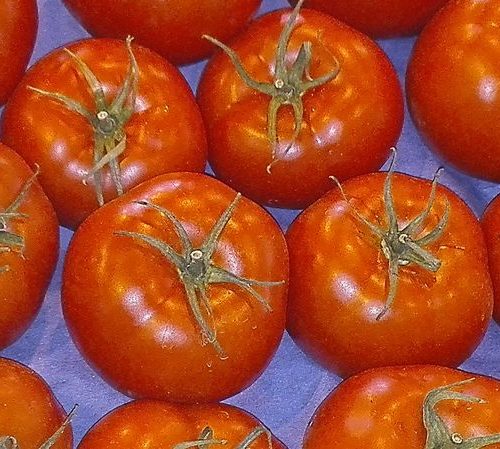 Tomates