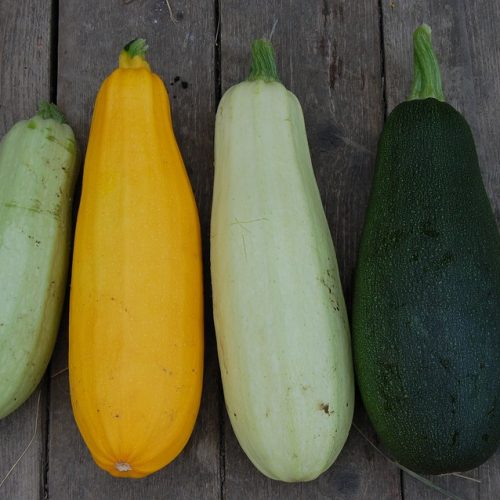 Calabacin